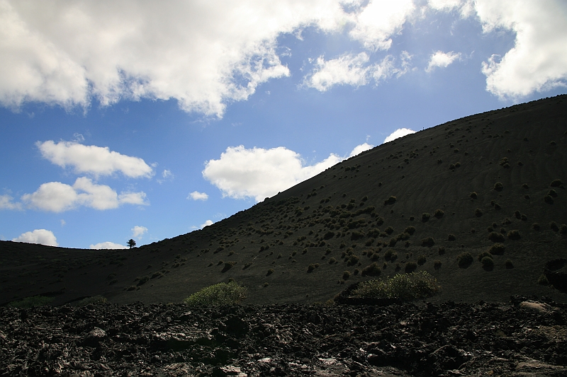 Kanary_2010 066